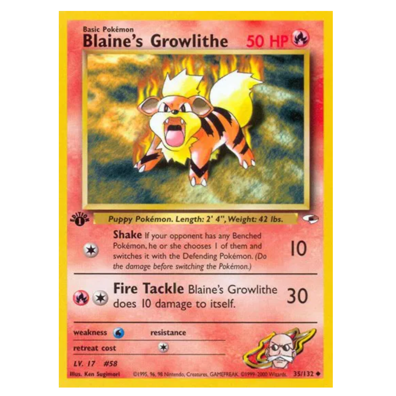 Pokemon TCG Blaine's Growlithe 1st Edition Gym Heroes 35/132