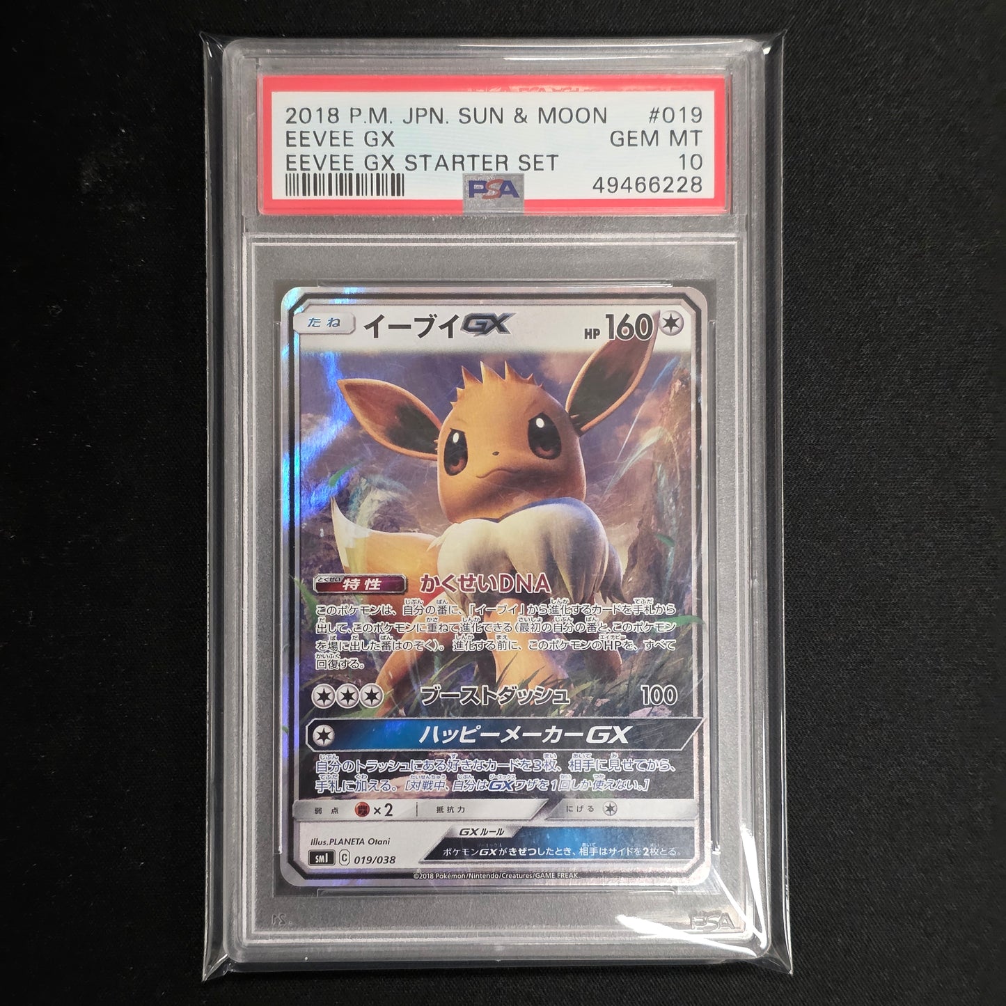 Pokemon TCG Eevee GX Starter Set 019/038 (Japanese) (PSA 10)