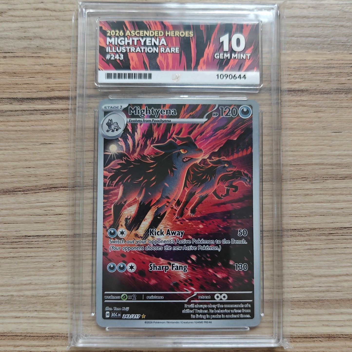 Pokemon TCG Mightyena Ascended Heroes 243/217 (ACE 10)