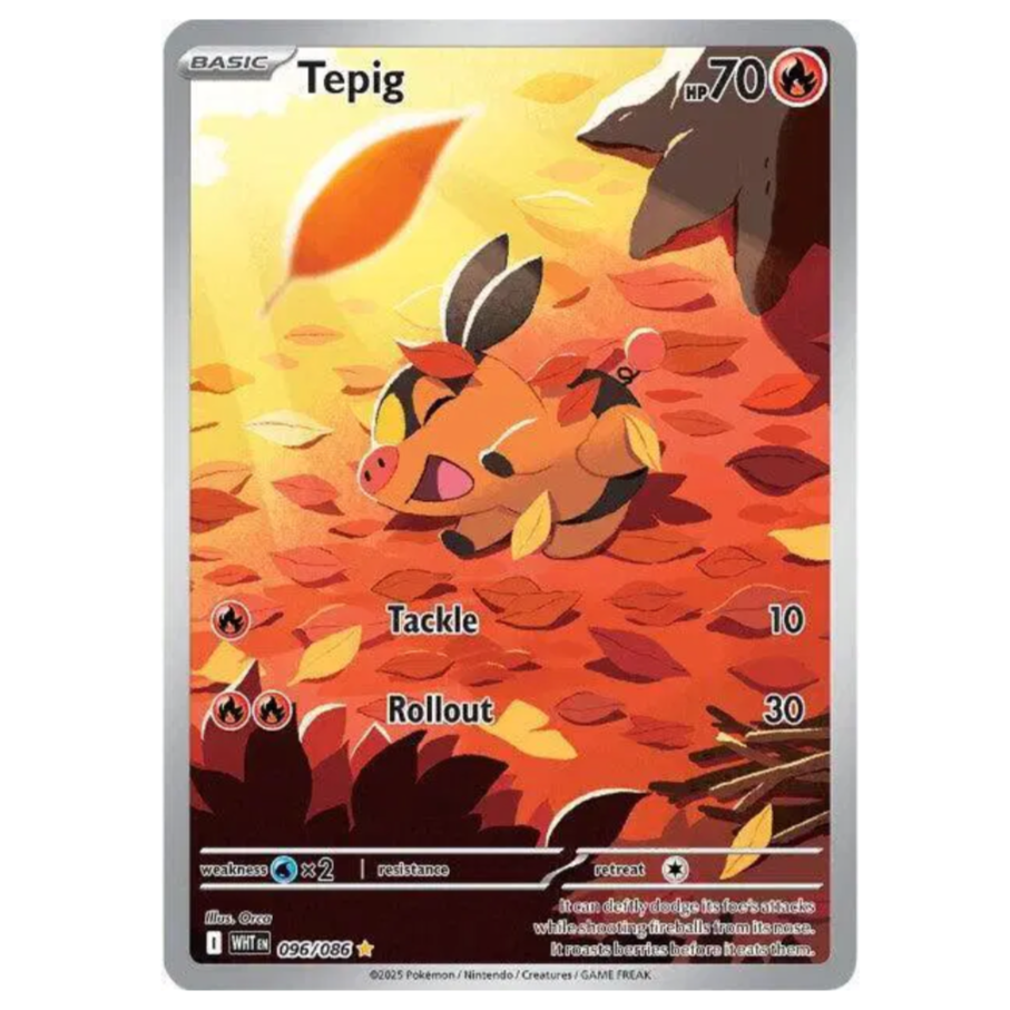 Pokemom TCG Tepig White Flare 096/086