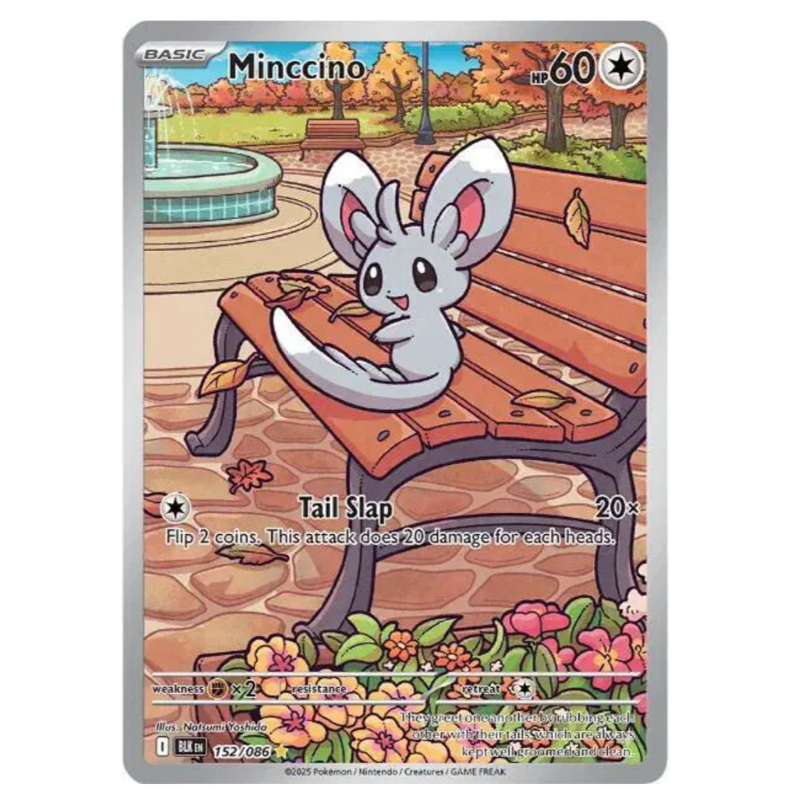 Pokemon TCG Minccino Black Bolt 152/086