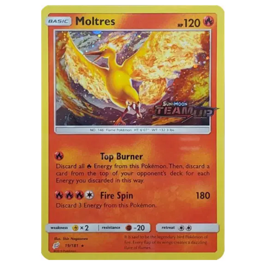 Pokemon TCG Moltres *Holo Stamped* Team Up 19/181