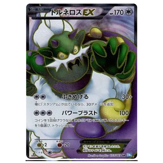 Pokemon TCG Tornadus EX Dark Rush 073/069 (Japanese)
